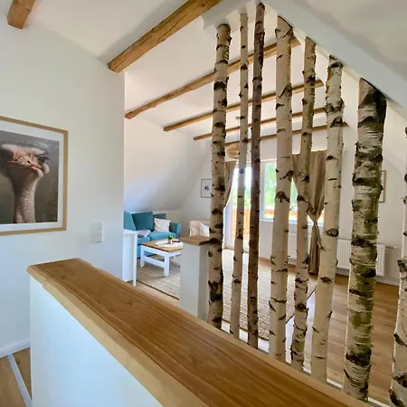 Straussenblick - Keine Monteure * Bad Fallingbostel