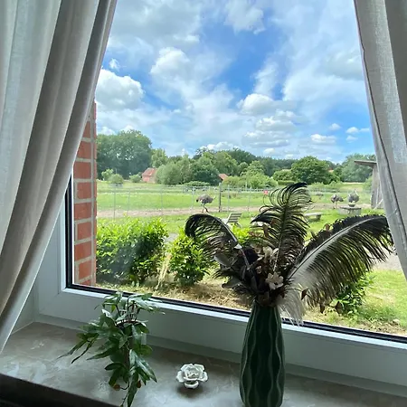 Straussenblick - Keine Monteure *