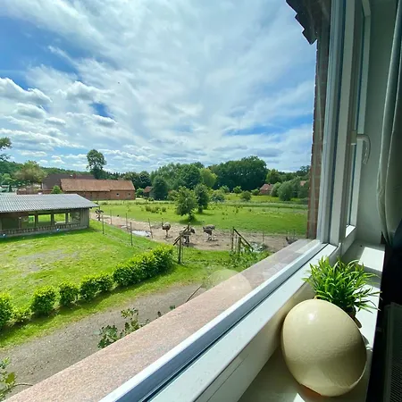 Straussenblick - Keine Monteure Feriehus *