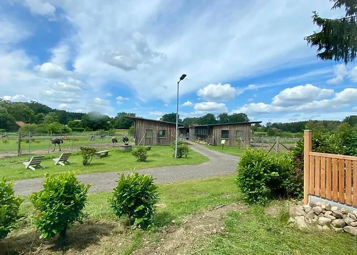 Straussenblick - Keine Monteure Бад-Фаллингбостель