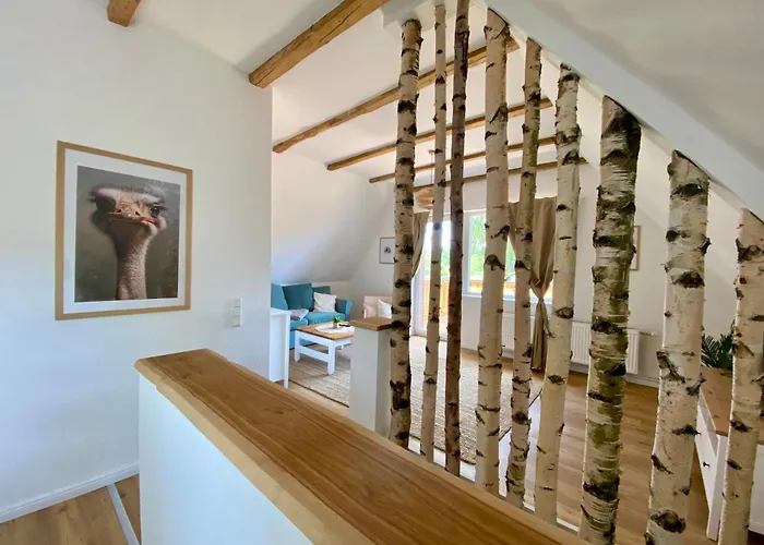 Straussenblick - Keine Monteure * Бад-Фаллингбостель