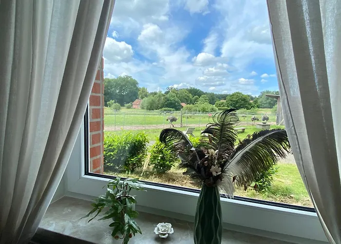 Straussenblick - Keine Monteure *